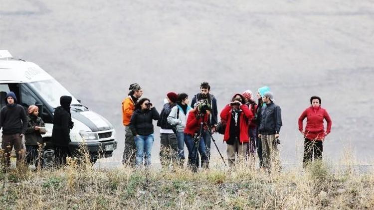 Dünya Kuş Gözlem Günü Kutlandı