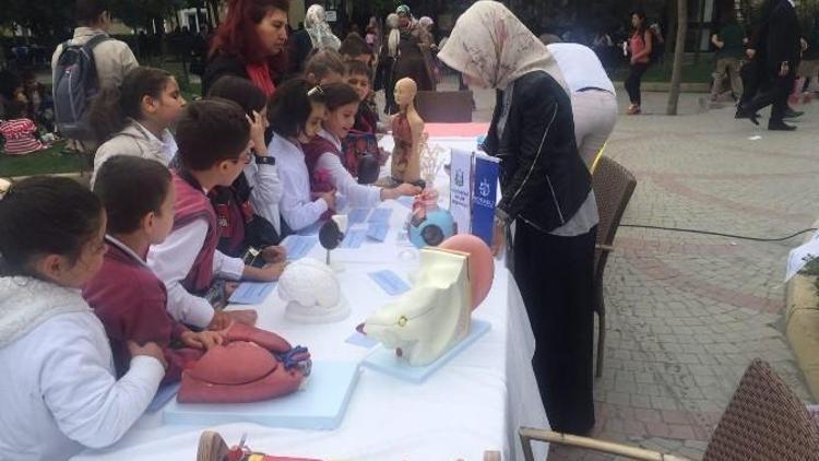 Avrupa Bilim Ve Eğlence Gününe Kocaeli’de Katıldı