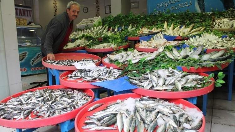 Niğde’de Tezgahlardaki Balıkların Fiyatı Vatandaşın Bütçesine Uygun