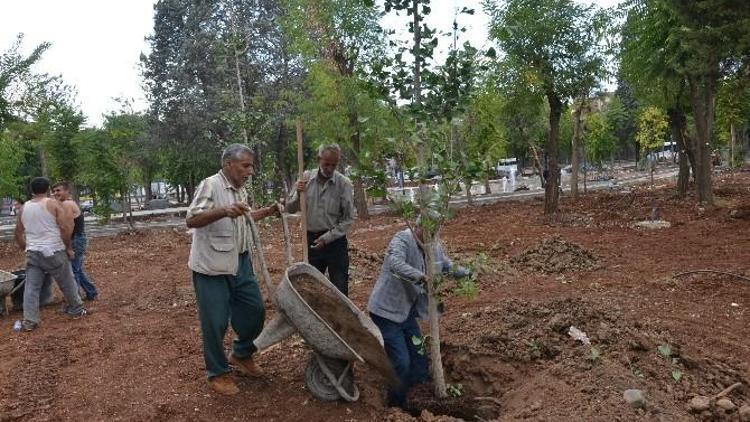 Anıtpark’a Farklı Türde Ağaçlar Dikiliyor