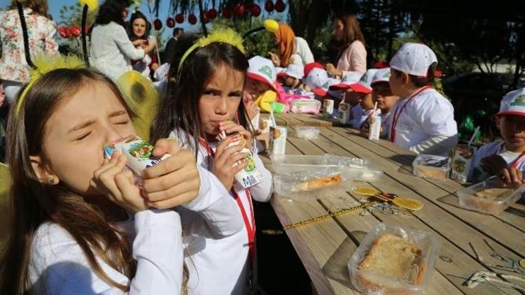 Bal, Süt Ve Yumurtanın İzinde