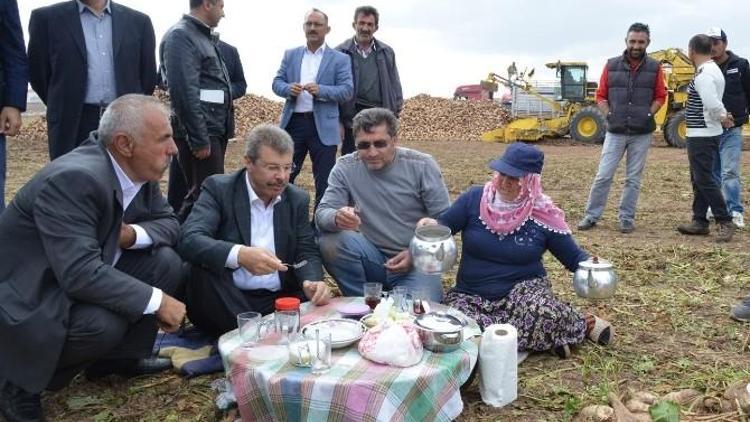 Kayseri Şeker Ailesi Pancar Hasat Günlerinde Bir Arada