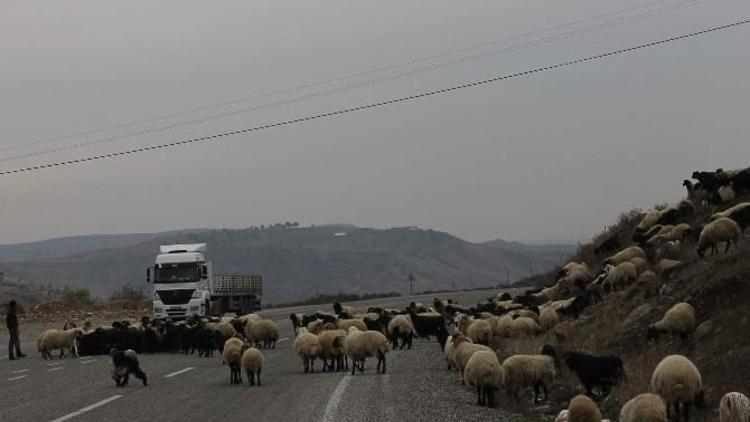 Siirt’te Yaylalardan Dönüşler Sürüyor