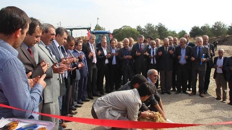 Elazığ’da Pancar Alım Kampanyası Başladı