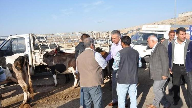 HDP Gaziantep Milletvekili Adayı Osman Demirci: