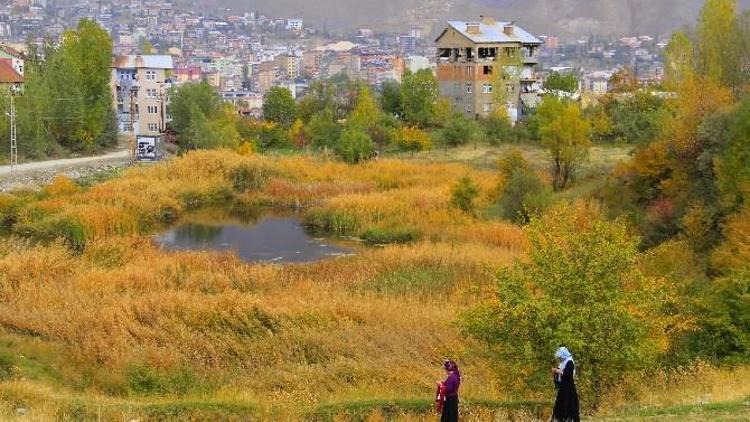 Hakkari’de Sonbahar Güzelliği