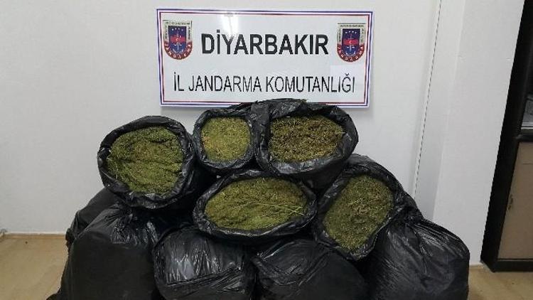 Diyarbakır’da Uyuşturucu Operasyonu