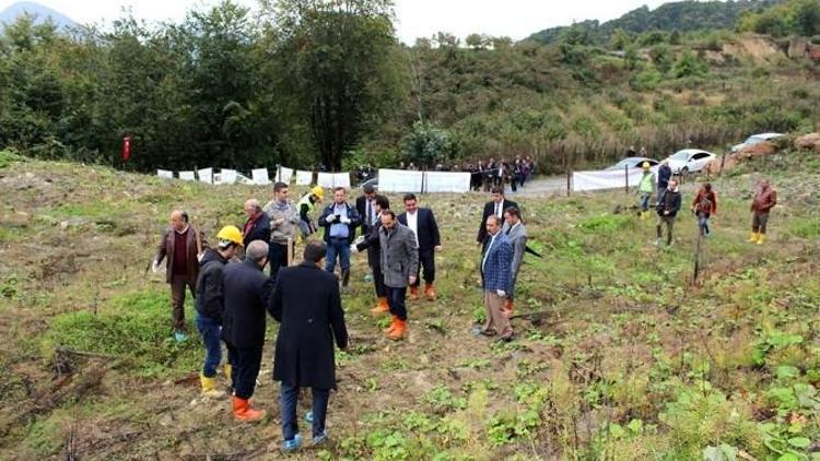 Ütso Fidan Dikimini, Gelenek Haline Getirecek