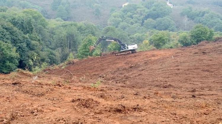 Milletvekili Balta, Beşikdüzü İlçesinde İncelemelerde Bulundu