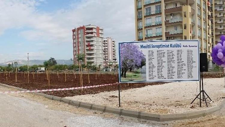 Mezitli, Jacaranda Koruluklarıyla Mora Bürünecek