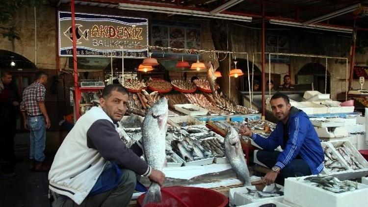 Kilis’te Balık Satışlarına Yoğun İlgi
