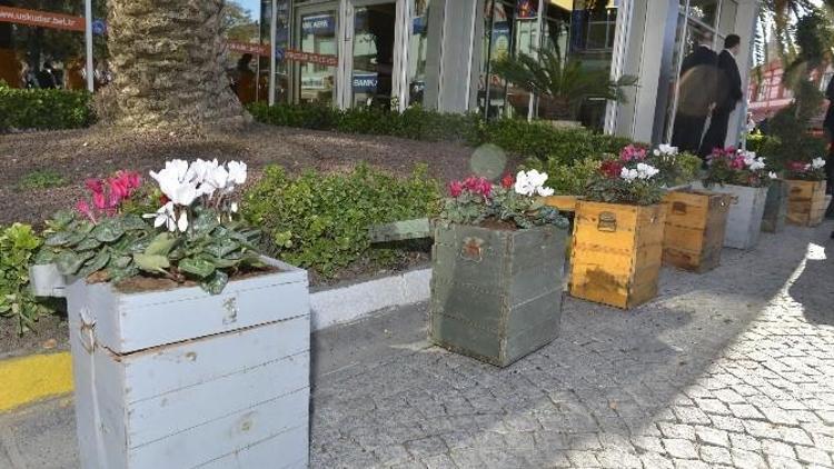 Üsküdar’da Eski Seçim Sandıkları Çiçek Açtı