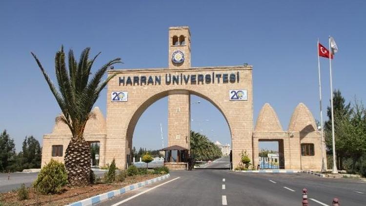 Harran Üniversitesi’nde Zeytin Tadımı Eğitimi Verilecek