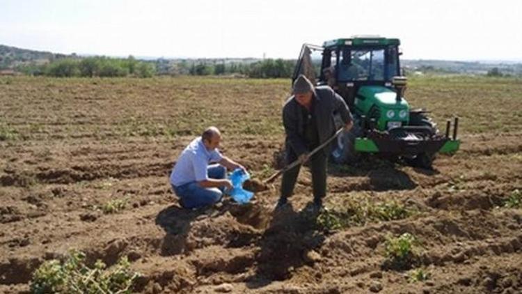 Kırklareli’nde Buğday Ve Arpa Çeşit Demonstrasyonu