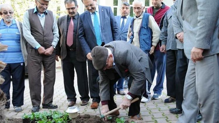 Başkan Şahin, Huzurevi Sakinleriyle Birlikte Çiçek Dikti