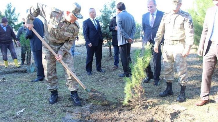 Mahkumlar Hayata Fidanla Tutunacak