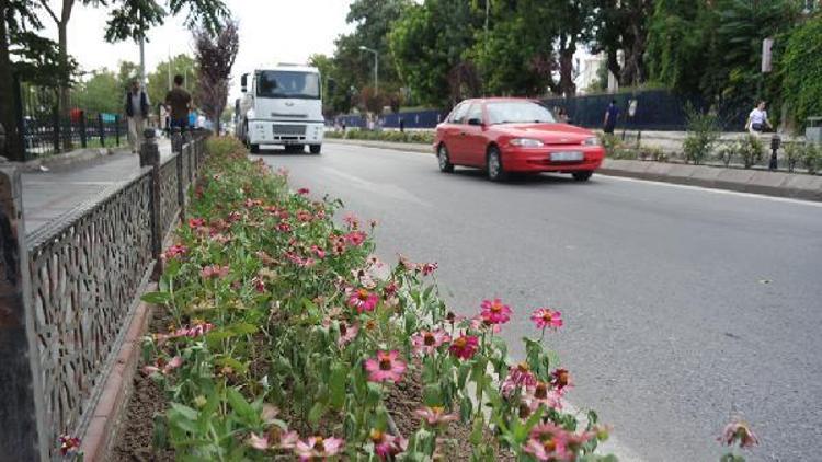 Edirne, çiçeklerle renklenecek