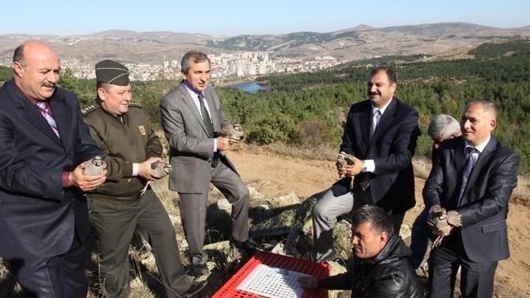 Yozgat’ta Doğaya Keklik Bırakıldı