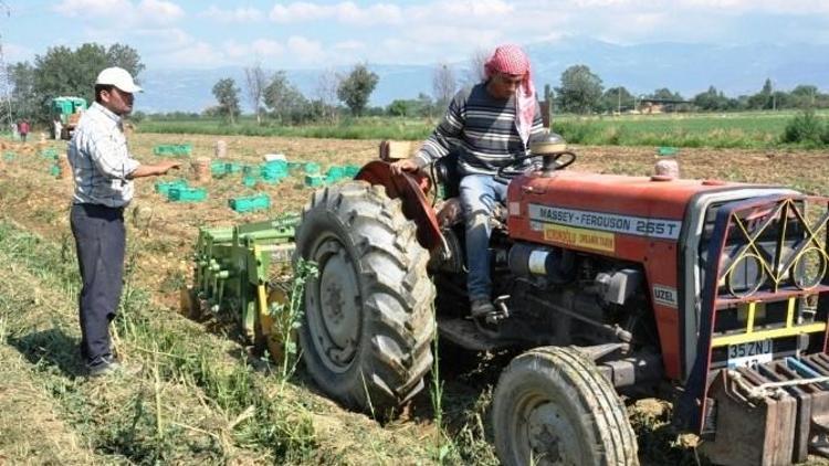 TÜİK, Ödemiş’te Tarımsal Yapının Röntgenini Çekiyor