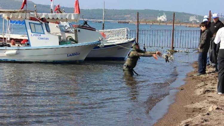 Aliağa’da Kıyı Temizliği Yapıldı