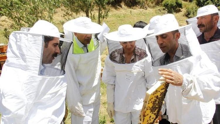 Organik Bal Arıcılığı” Projesi Kapsamında İlk Hasat Yapıldı
