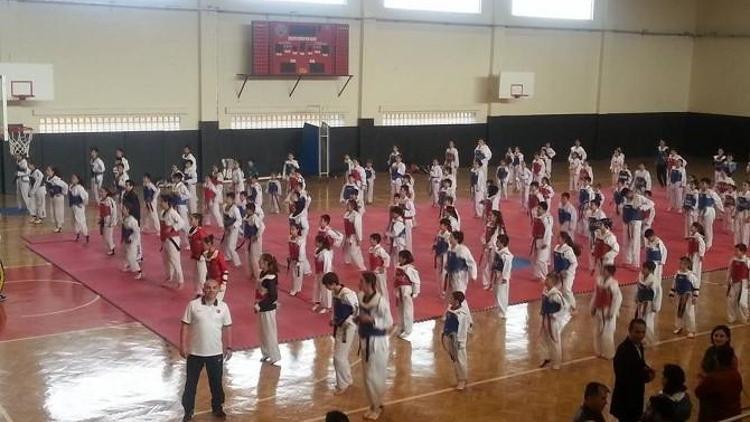 Taekwondo Hazırlık Müsabakası Yapıldı