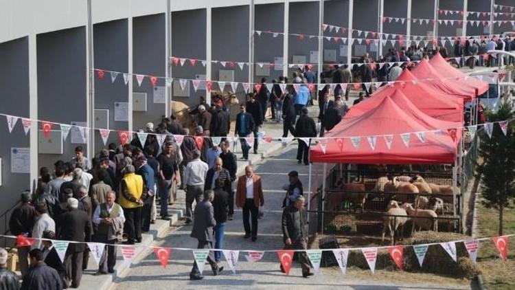 Anadolu EXPO Canlı Hayvan Fuarında Satış Rekoru Kırıldı