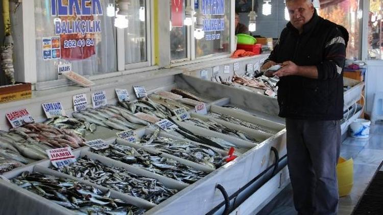 Tekirdağ’da Balık Bereketi