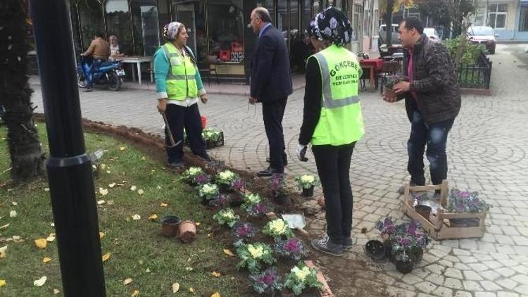 Gökçebey’de Peyzaj Çalışmaları Sürüyor