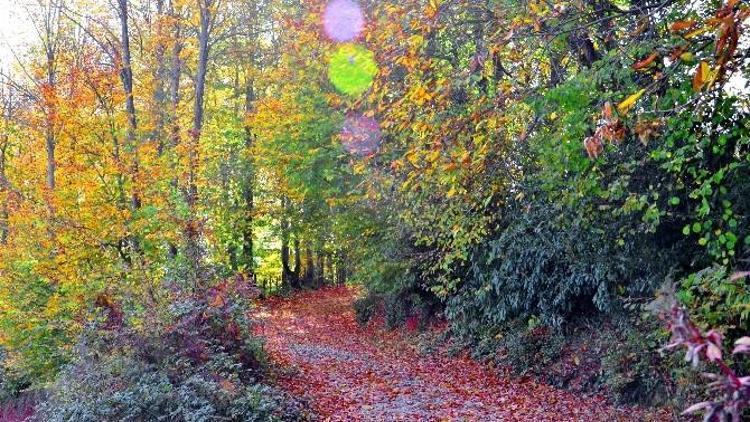 Zonguldak’ta Sonbahar