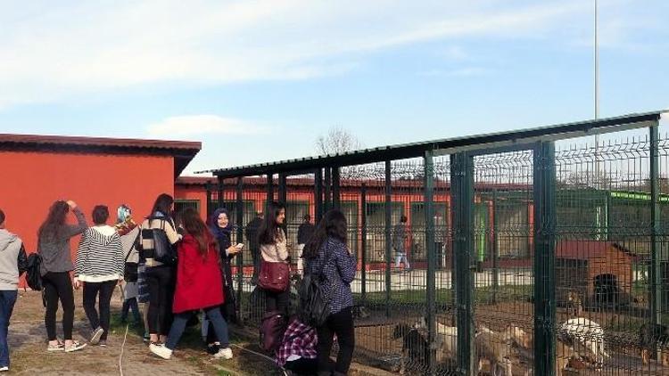 Sapanca MYO Öğrencilerine Sakarya Gezisi Düzenlendi