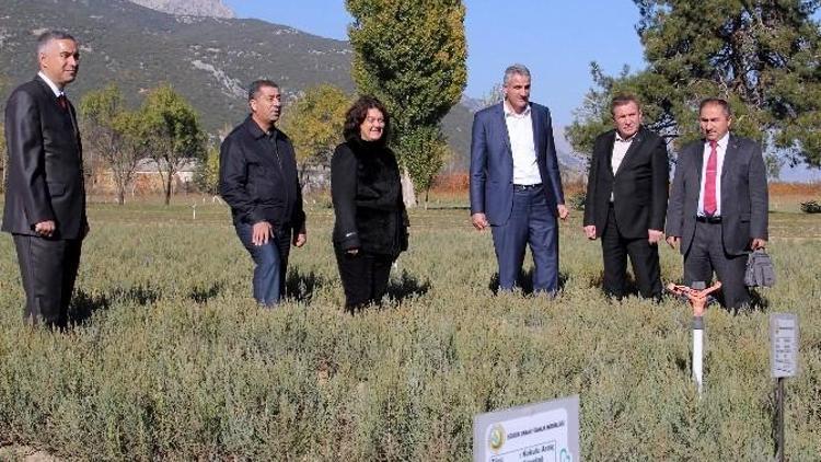 Isparta’dan Türkmenistan’a Ardıç Fidanı