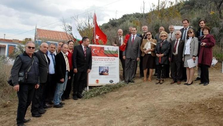 Türkiye-bulgaristan Dostluk Çınarı Mudanya’da