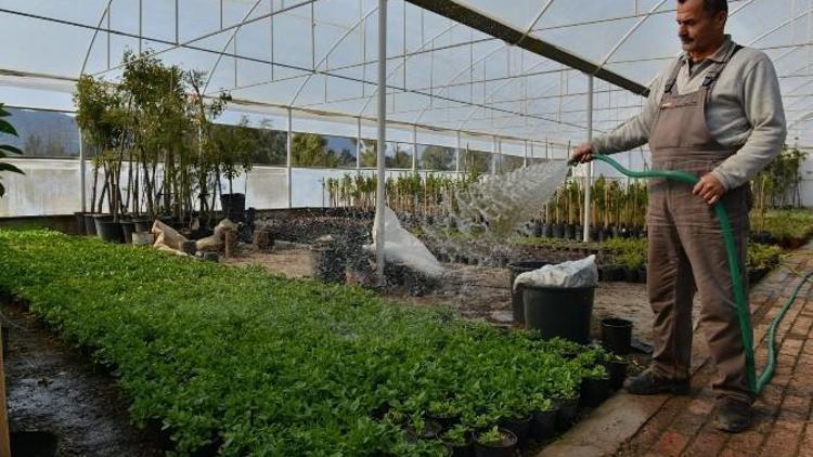 Konyaaltı Belediyesi Kendi Bitkisini Kendi Üretiyor