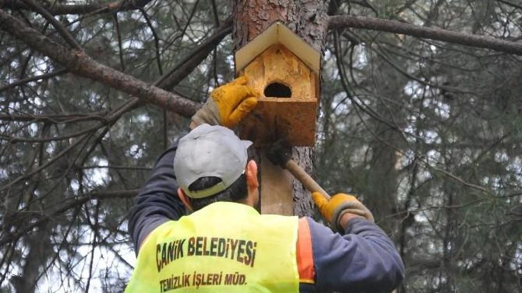 Canik’ten Kuşlara Merhamet Yuvaları