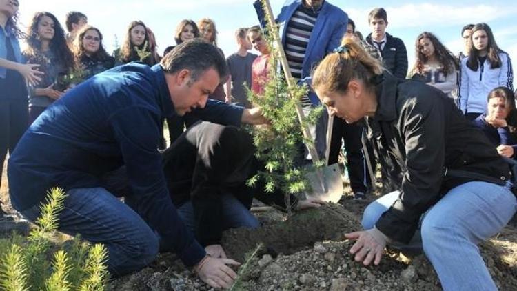 Merhume Gökçe Keçeci Anısına Hatıra Ormanı Oluşturuldu