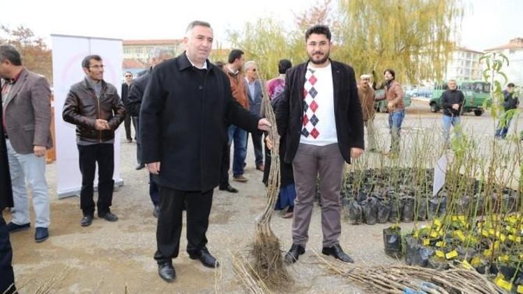 Aksaray’da Çiftçilere 7 Bin 80 Adet Meyve Fidanı Dağıtıldı