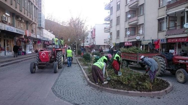 Akşehir Çiçeklerle Bezenecek