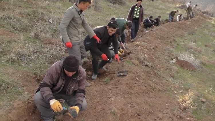 Murat Havzası Rehabilitasyon Projesi Devam Ediyor