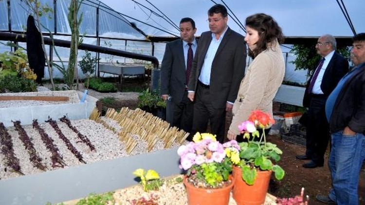 Silifke Belediyesi Yılda 100 Binin Üzerinde Bitki Ve Çiçek Üretiyor