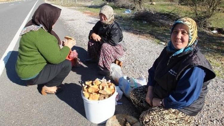 Havran’da Melki Mantarı Köylü Kadınlara Geçim Kaynağı Oldu