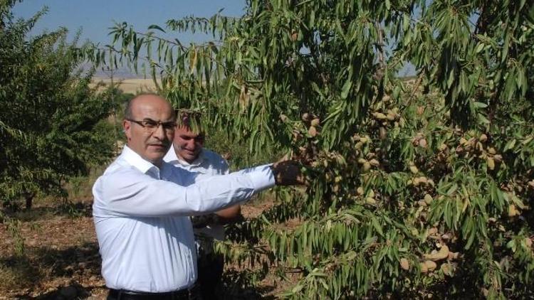 Adıyaman’da, Tarımsal Projelere Büyük Destek