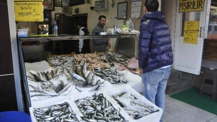 Hamsinin Kulağına Kar Suyu Kaçtı Ama Hamsi Yok