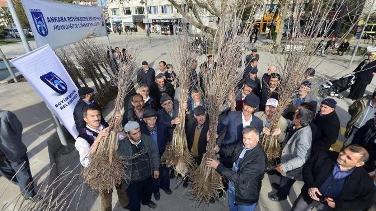 Büyükşehir’den Çiftçi Ve Üreticiye Büyük Destek