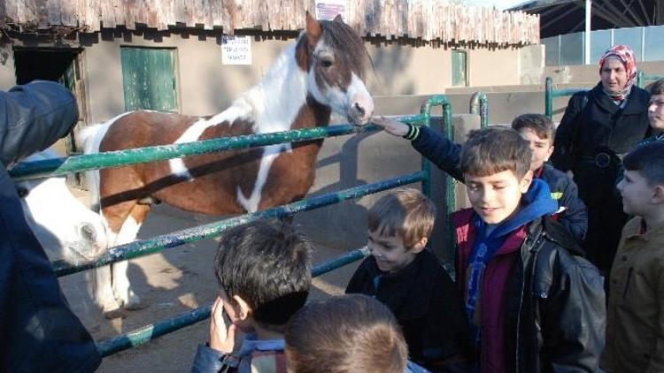 Öğrenciler Darıca Hayvanat Bahçesini Gezdi