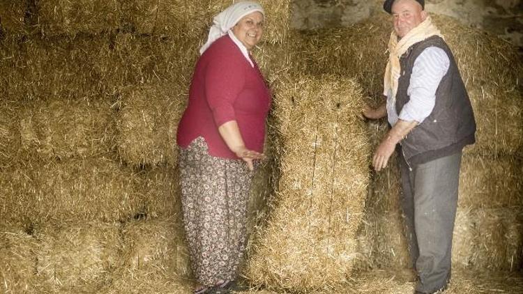 İki Gönül Bir, Samanlık Seyran Oldu