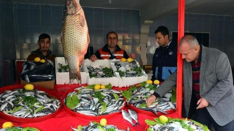 Ceylanpınar’da Balıkçılara Denetim