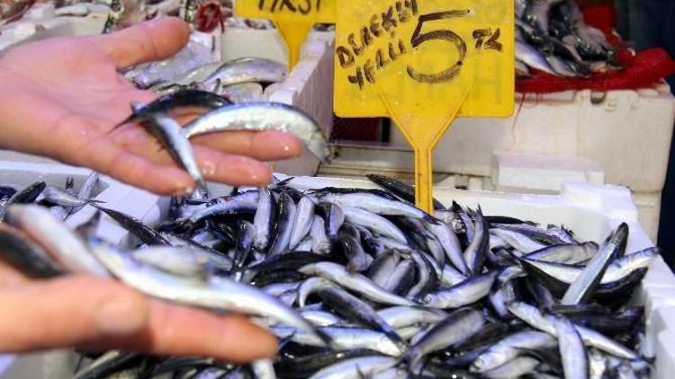 Samsun’da Balık Fiyatları Yarı Yarıya Düştü