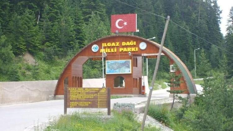 Ilgaz Dağı Milli Parkında, Çöp Konteynırları Yenilendi