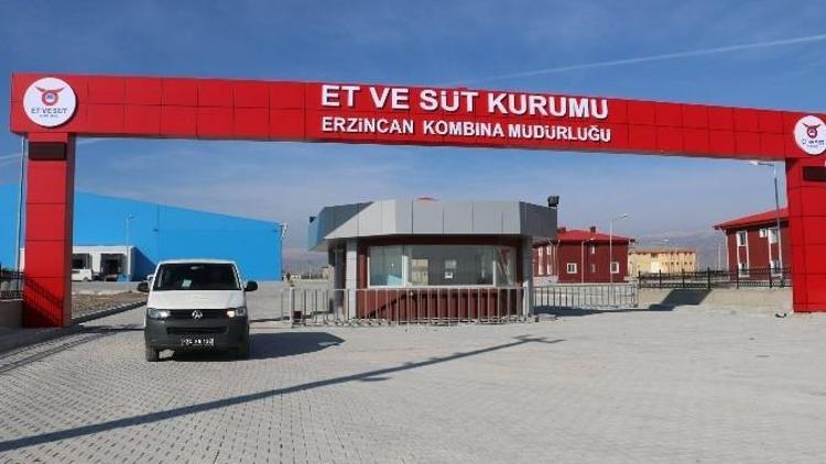 Erzincan Tavuk Kombinasının 2016’da Faaliyete Geçmesi Bekleniyor